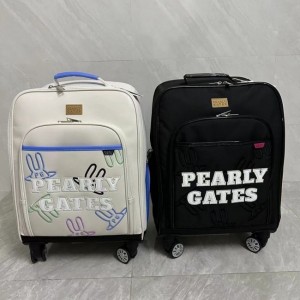 파리게이츠 캐리어 1747304868